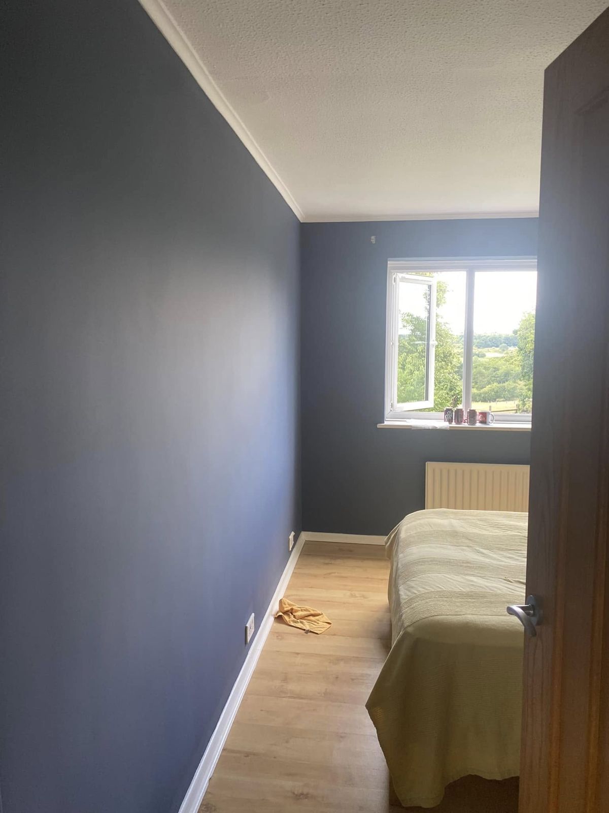 Navy wall and doorway in a bedroom with an oak floor